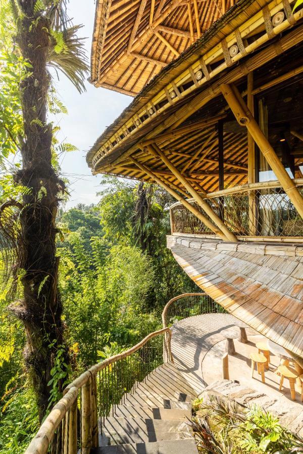 Eclipse House 4Bds Eco Bamboo House Pool Riverview Bringkit Eksteriør bilde